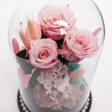 Cupolă Lux 3 Trandafiri Criogenați Roz & Perle