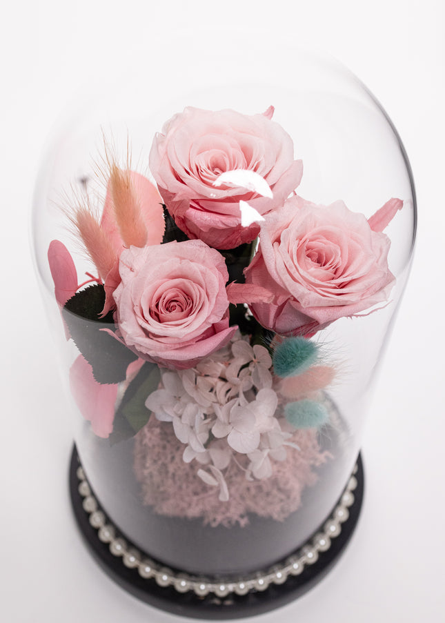 Cupolă Lux 3 Trandafiri Criogenați Roz & Perle