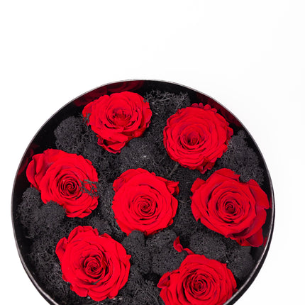Aranjament Lux 5 Trandafiri Criogenați Roșii, Cutie Catifea Neagră