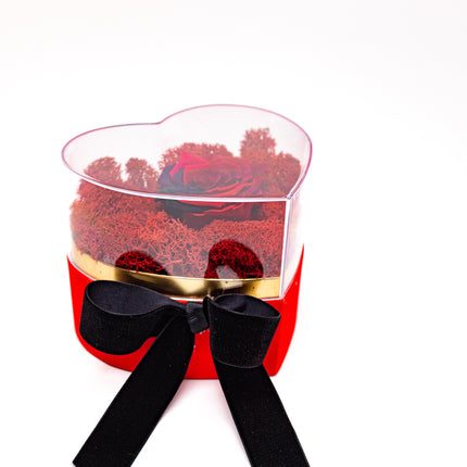 Aranjament de Lux „Rainbow Eternal Rose” în Cupolă Acrilică