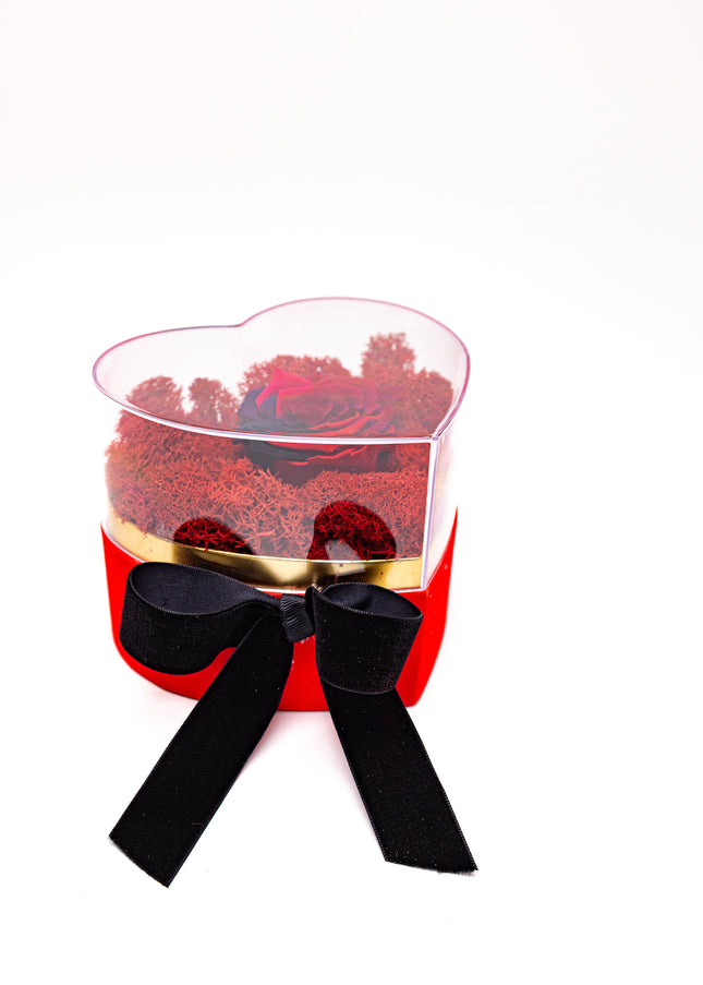 Aranjament de Lux „Rainbow Eternal Rose” în Cupolă Acrilică