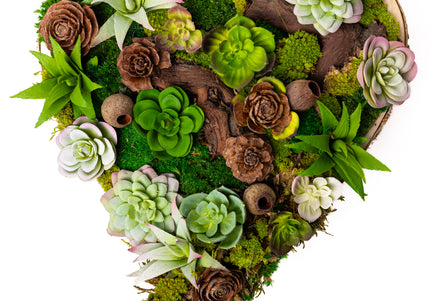 Tablou decorativ „Green Heart Succulent” – inimă cu plante suculente și mușchi stabilizat