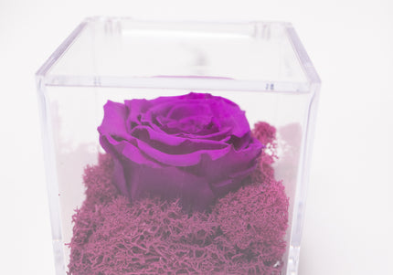 Aranjament de Lux "Amethyst Cube Muse" cu Trandafir Criogenat