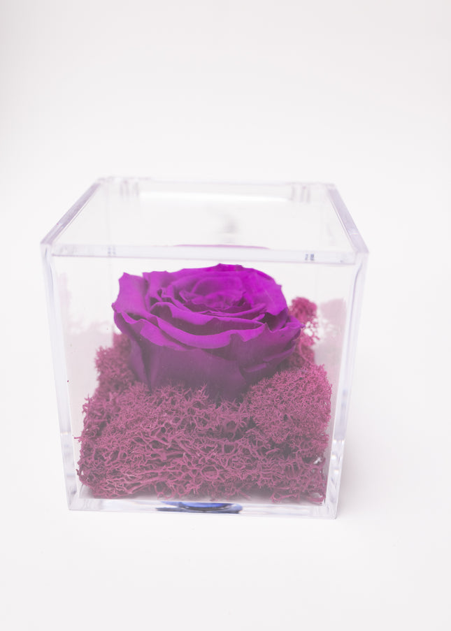 Aranjament de Lux "Amethyst Cube Muse" cu Trandafir Criogenat