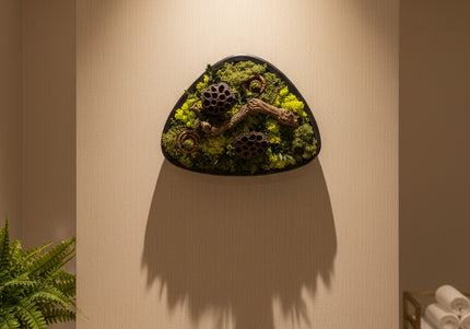 Terariu Biophilic „Emerald Basin” – Aranjament Handmade cu Licheni Stabilizați și Lotus în Vas Ceramic Triunghiular