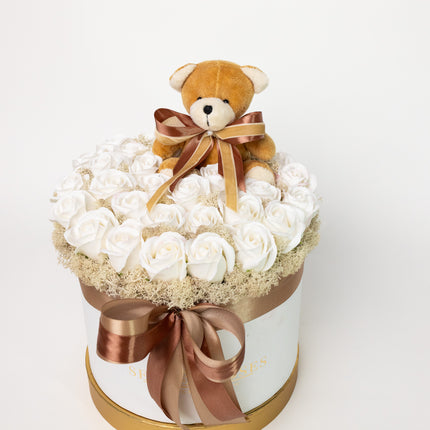 Collection image for: Acasa