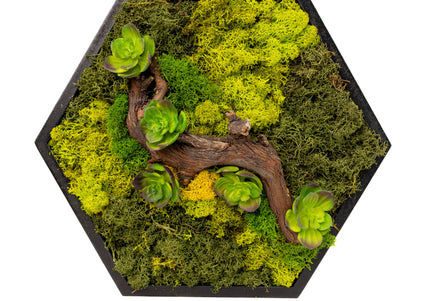 Decor Mural Modular „Emerald Hive” – Un Panou Hexagonal Handmade cu Mușchi, Licheni și Relief Botanic