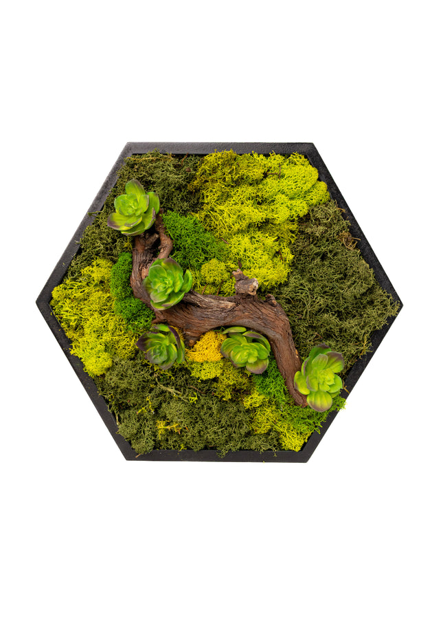 Decor Mural Modular „Emerald Hive” – Un Panou Hexagonal Handmade cu Mușchi, Licheni și Relief Botanic