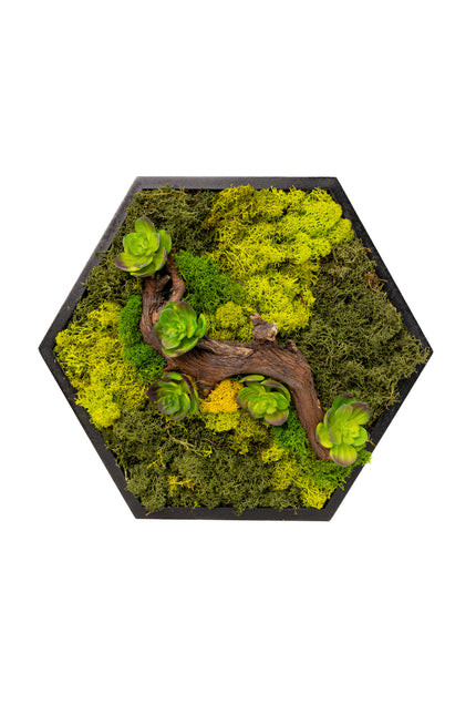 Decor Mural Modular „Emerald Hive” – Un Panou Hexagonal Handmade cu Mușchi, Licheni și Relief Botanic