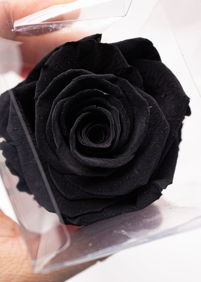 Aranjament de Lux "Noir Elegance" cu Trandafir pe Tulpină