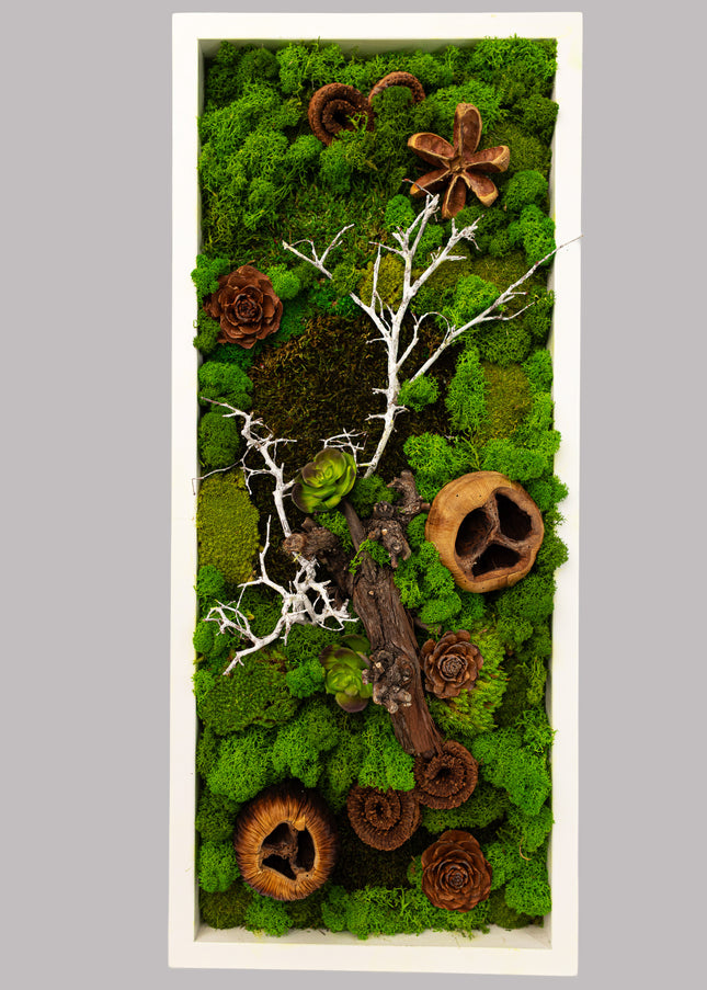 Tablou Biophilic „Forest Moss Panorama” – Panou Decorativ Handmade cu Mușchi, Licheni Stabilizați și Elemente de Pădure