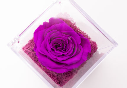 Aranjament de Lux "Amethyst Cube Muse" cu Trandafir Criogenat