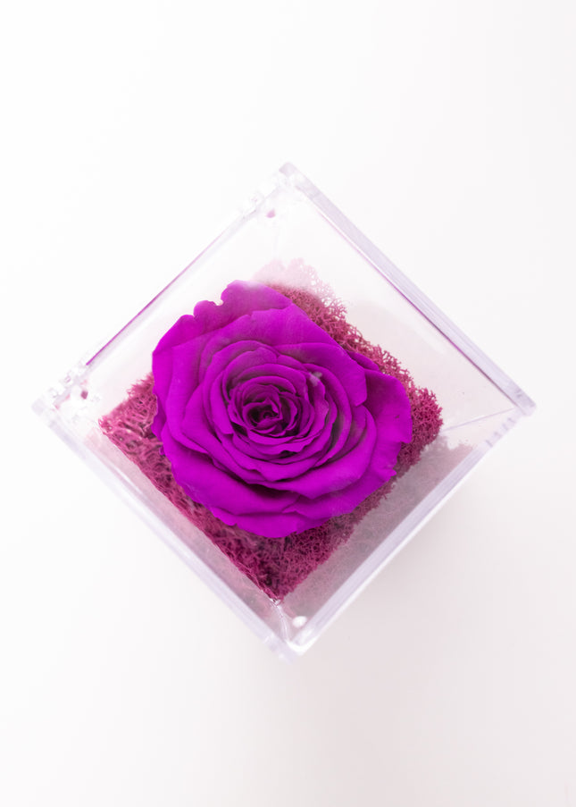 Aranjament de Lux "Amethyst Cube Muse" cu Trandafir Criogenat