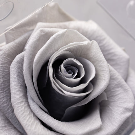 Aranjament de Lux „Silver Infinity” cu Trandafir Criogenat