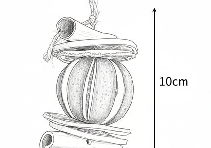 Ornament de Crăciun Suspendat „Citrus & Spice Harmony”