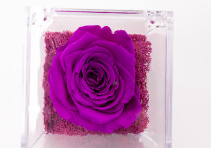 Aranjament de Lux "Amethyst Cube Muse" cu Trandafir Criogenat