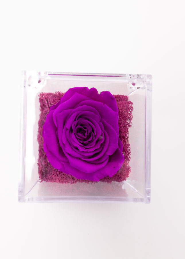 Aranjament de Lux "Amethyst Cube Muse" cu Trandafir Criogenat