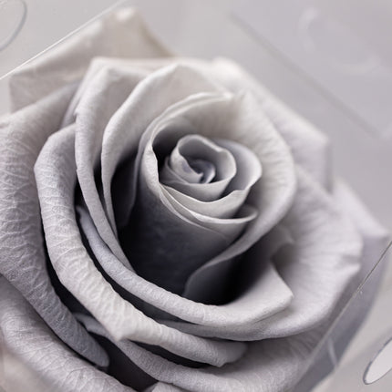 Aranjament de Lux „Silver Infinity” cu Trandafir Criogenat