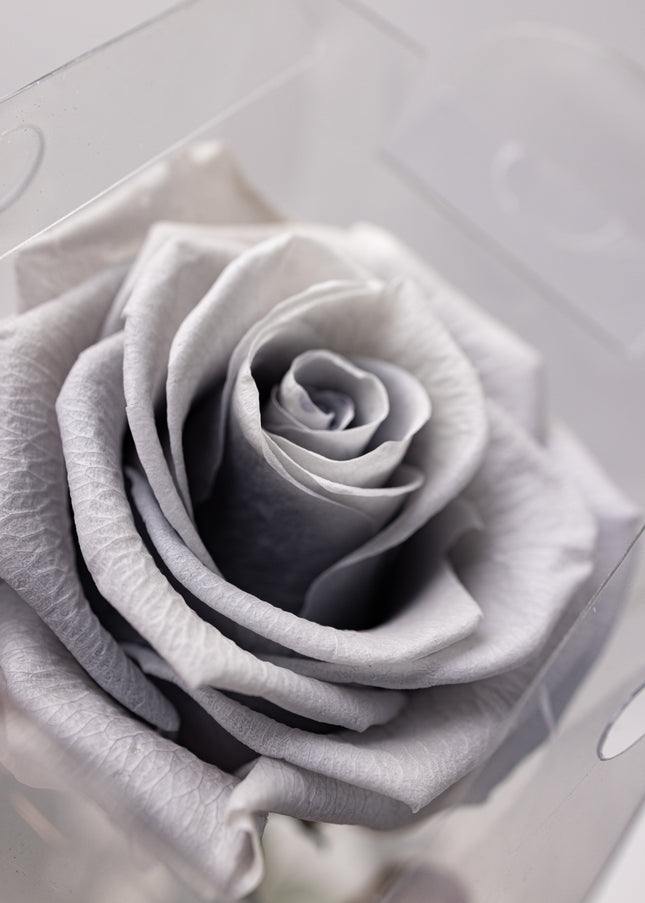 Aranjament „Silver Infinity” cu Trandafir Criogenat