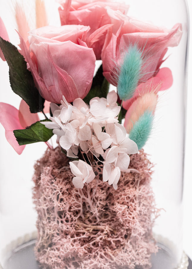 Cupolă Lux 3 Trandafiri Criogenați Roz & Perle