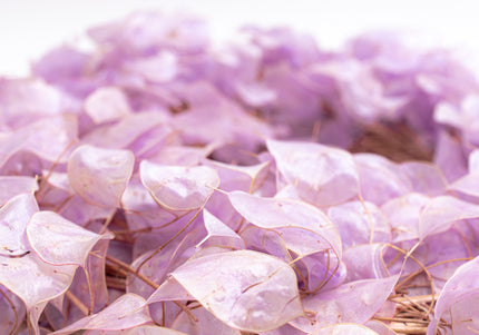 Coroniță Decorativă din Lunaria Mov – Aranjament Natural din Plante Uscate