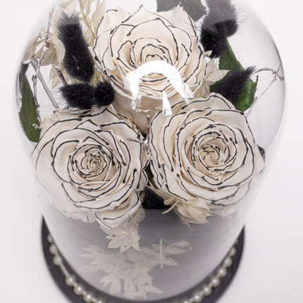 Cupolă Lux 3 Trandafiri Criogenați Albi cu Vârf Negru & Perle
