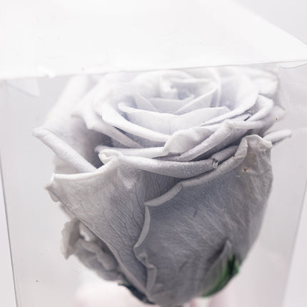 Aranjament de Lux "Silver Moon" cu Trandafir pe Tulpină