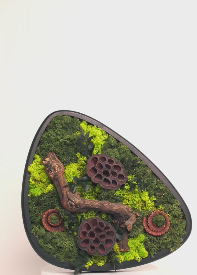 Terariu Biophilic „Emerald Basin” – Aranjament Handmade cu Licheni Stabilizați și Lotus în Vas Ceramic Triunghiular