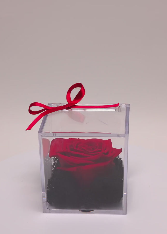 Trandafir Criogenat Roșu în Cutie Acrilică Pătrată