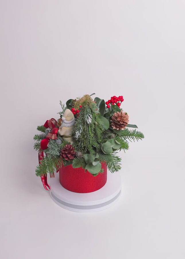 Aranjament Crăciun "Santa's Garden" cu Skimmia și Brad