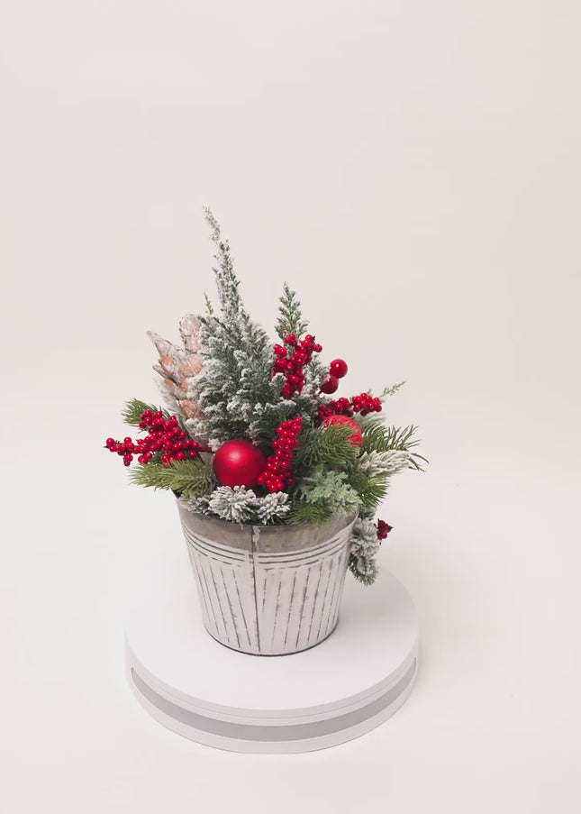 Brad Natural la Ghiveci "Red Berries" pentru Birou