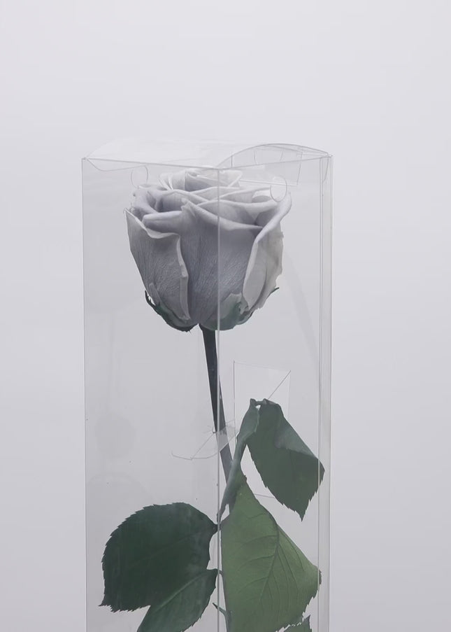 Aranjament „Silver Infinity” cu Trandafir Criogenat