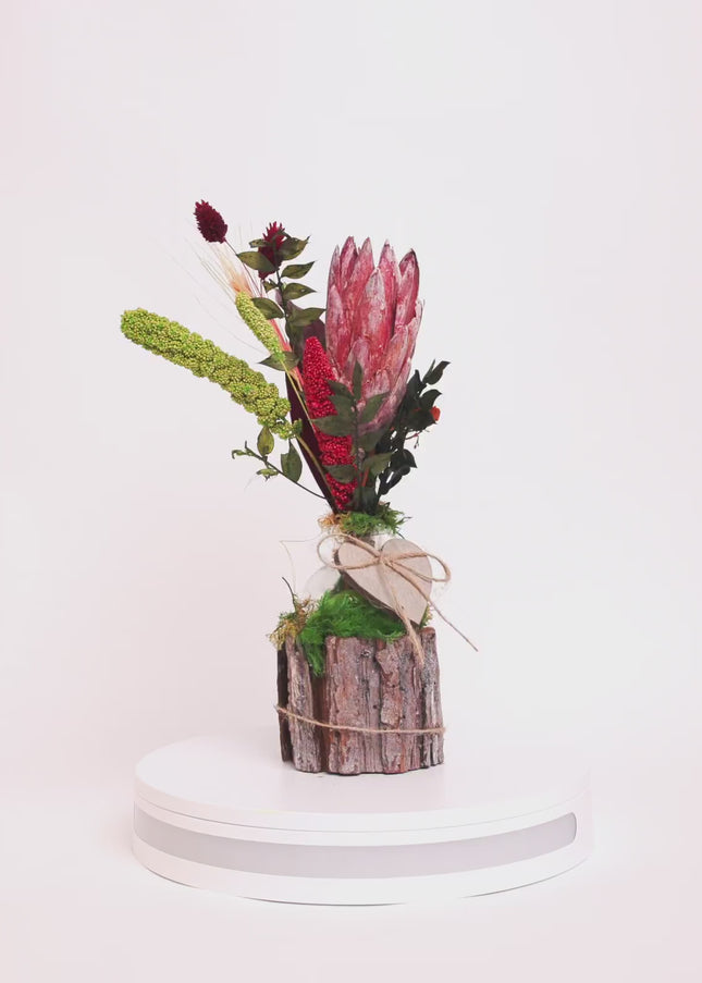 Mini-Aranjament Floral „Protea Soul” în Suport de Scoarță – Decor cu Floare Protea, Licheni și Accente Verzi