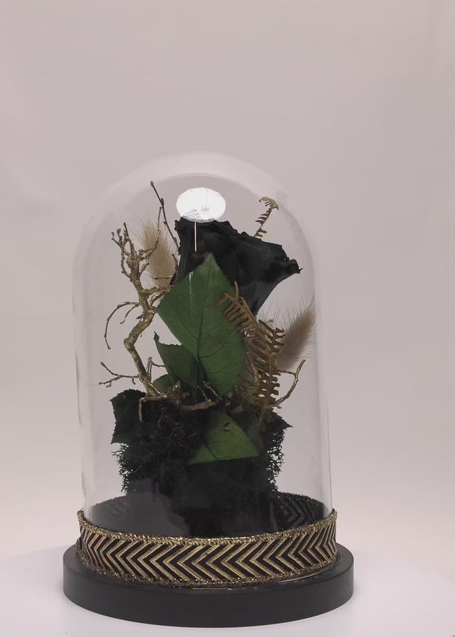 Cupolă Lux Trandafir Criogenat Negru & Decor Auriu