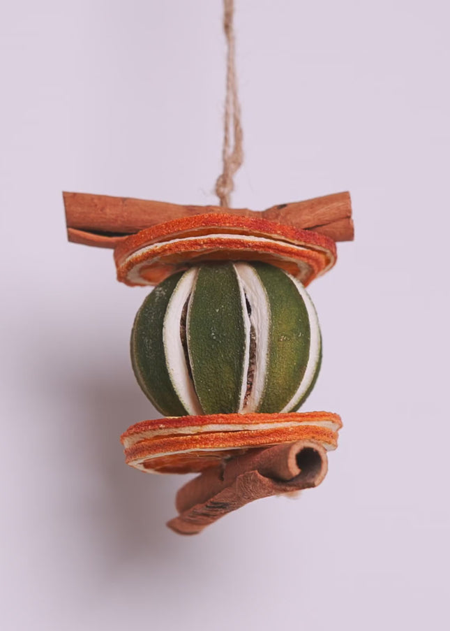 Ornament de Crăciun Suspendat „Citrus & Spice Harmony”