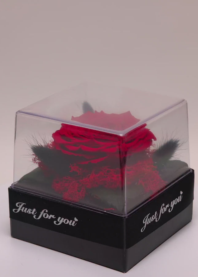 Trandafir Criogenat Roșu Gigant în Cutie Acrilică cu Pană & Mesaj