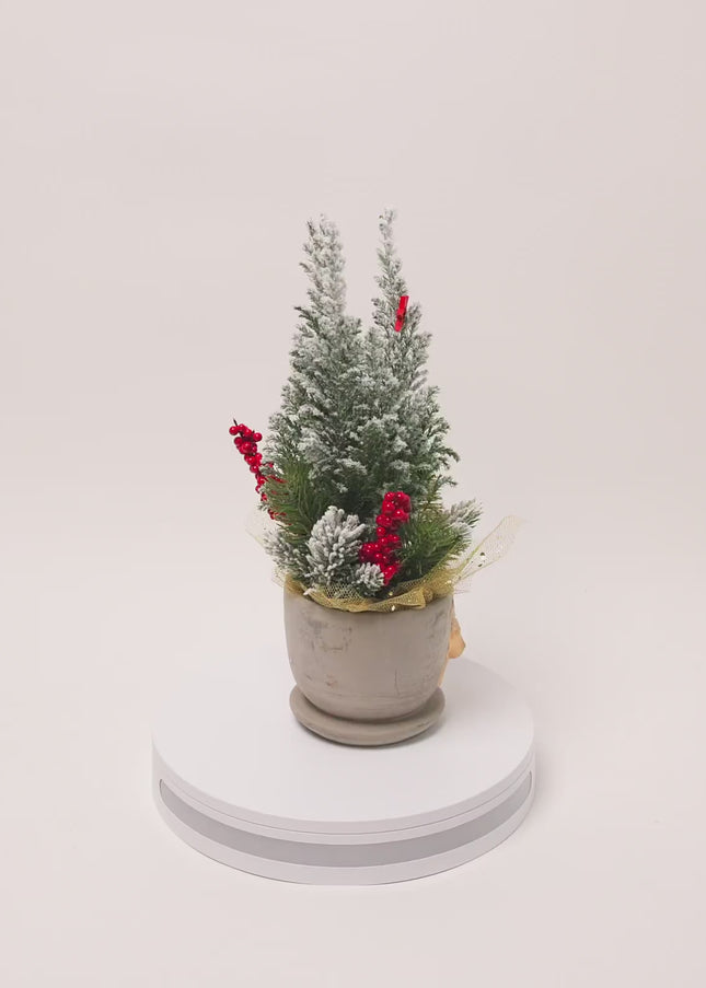 Brad Natural la Ghiveci "Royal Stag" – Decor de Lux