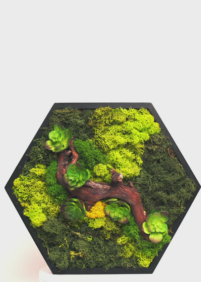 Decor Mural Modular „Emerald Hive” – Set de 7 Panouri Hexagonale Handmade cu Mușchi, Licheni și Relief Botanic