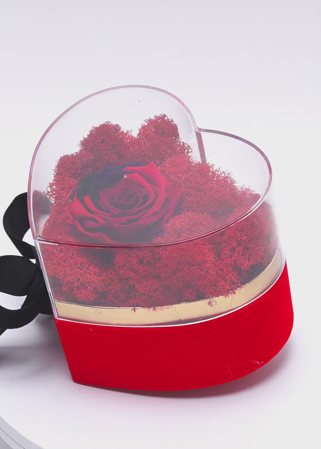 Aranjament de Lux „Rainbow Eternal Rose” în Cupolă Acrilică