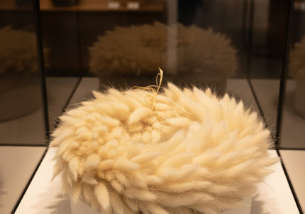 Coroniță Decorativă din Lagurus Alb Natural – Aranjament Pufos „Coda Mâței” Stil Boho