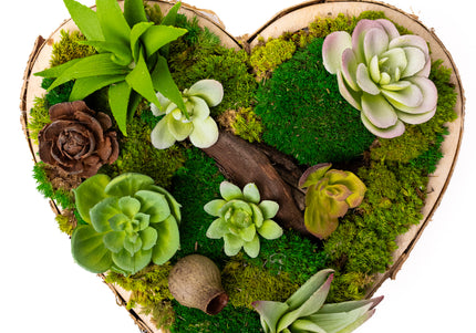 Tablou decorativ „Forest Heart Mini” – inimă cu suculente și mușchi stabilizat