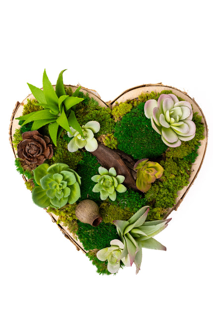 Tablou decorativ „Forest Heart Mini” – inimă cu suculente și mușchi stabilizat