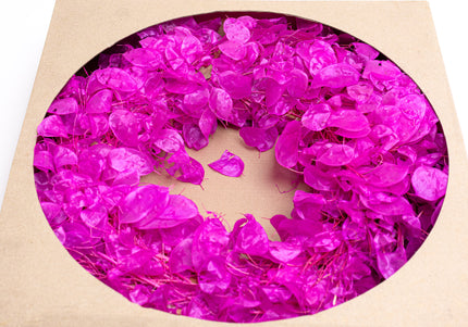 Coroniță Decorativă Lunaria Fucsia – Aranjament din Plante Naturale Uscate, Magenta Vibrant