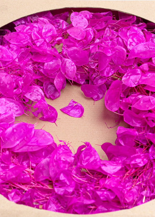 Coroniță Decorativă Lunaria Fucsia – Aranjament din Plante Naturale Uscate, Magenta Vibrant
