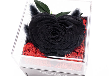 Trandafir Criogenat Negru (Inimă), Cutie Acrilică "Best Wishes"