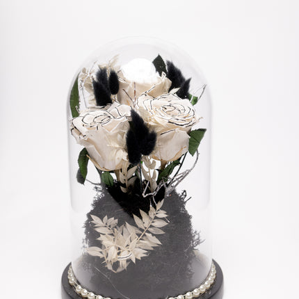 Cupolă Lux 3 Trandafiri Criogenați Albi cu Vârf Negru & Perle