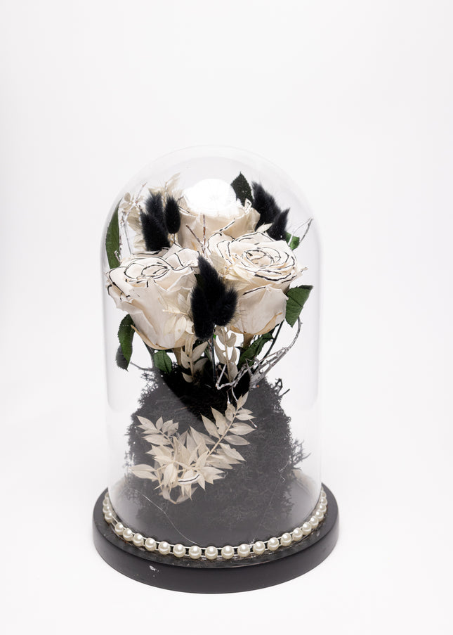 Cupolă Lux 3 Trandafiri Criogenați Albi cu Vârf Negru & Perle