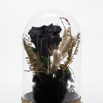 Cupolă Lux Trandafir Criogenat Negru & Decor Auriu