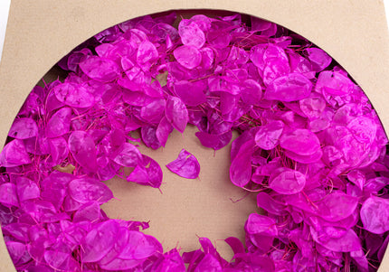 Coroniță Decorativă Lunaria Fucsia – Aranjament din Plante Naturale Uscate, Magenta Vibrant