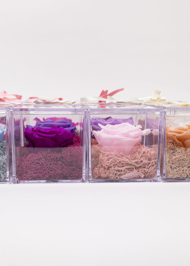 Aranjament de Lux "Amethyst Cube Muse" cu Trandafir Criogenat